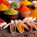 SPICE