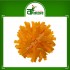 Rock Melon Dry 500 gm