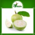 Guava Thai (Net Weight ± 50 gm) 1 kg