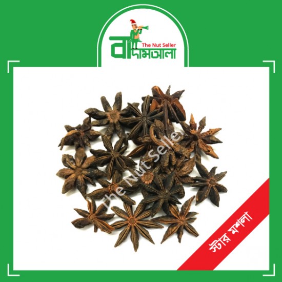 Star Masala 100 gm