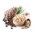 PINE NUTS